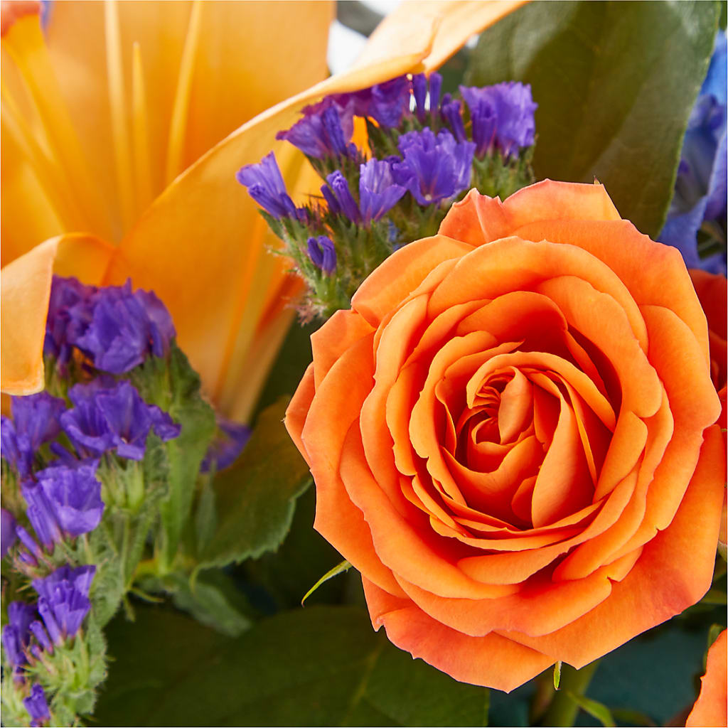 Radiant Citrus Box Bouquet – The Woodlands Flowers, Conroe TX