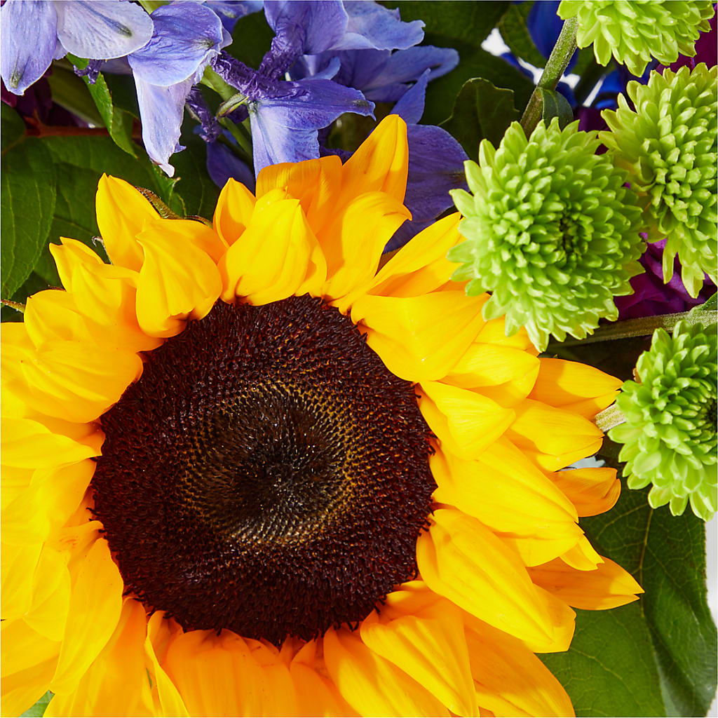 Catching Rays Bouquet – The Woodlands Flowers, Conroe TX