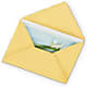Greeting Card – The Woodlands Flowers, Conroe TX