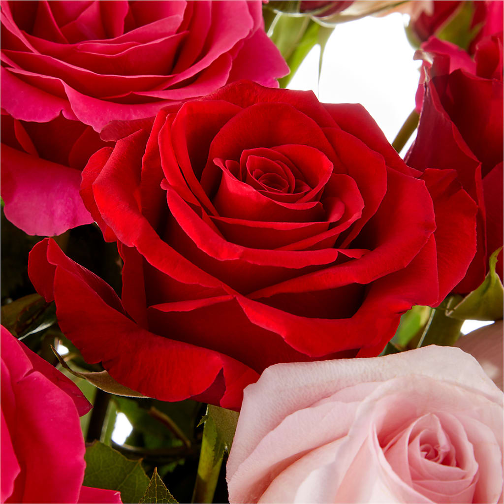Love Notes Rose Bouquet – The Woodlands Flowers, Conroe TX