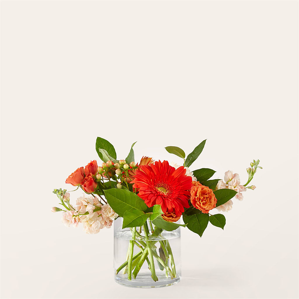 Paloma Please Bouquet – The Woodlands Flowers, Conroe TX