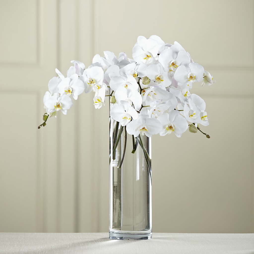 White Phalaenopsis Bouquet – The Woodlands Flowers, Conroe TX