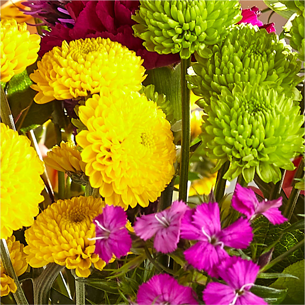 Bold & Bright – A Florist Original –  The Woodlands Flowers, Conroe TX