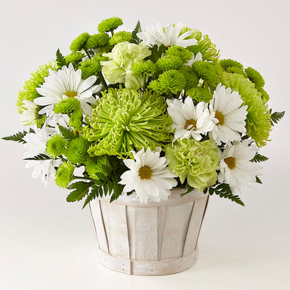 Lucky Charm Basket (Standard) –  The Woodlands Flowers, Conroe TX