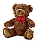 Adorable Plush Bear –  The Woodlands Flowers, Conroe TX