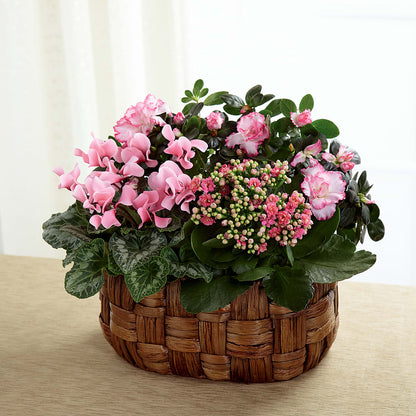 Pink Assortment –  The Woodlands Flowers, Conroe TX