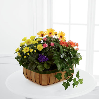 Gentle Blossoms Basket –  The Woodlands Flowers, Conroe TX