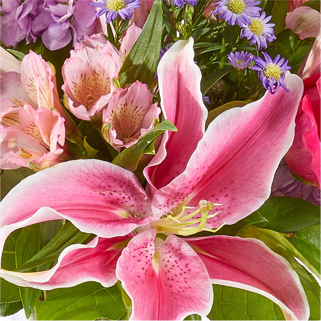 Written in the Stars Bouquet –  The Woodlands Flowers, Conroe TX