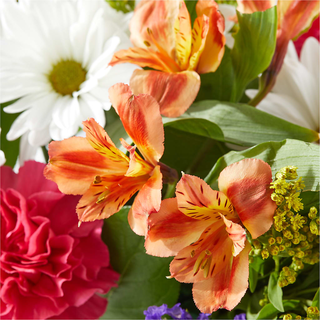 Oopsie Daisy Box Bouquet –  The Woodlands Flowers, Conroe TX