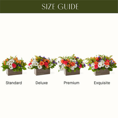 Oopsie Daisy Box Bouquet –  The Woodlands Flowers, Conroe TX