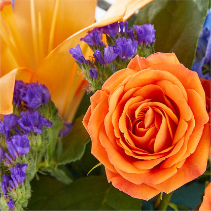 Radiant Citrus Box Bouquet –  The Woodlands Flowers, Conroe TX