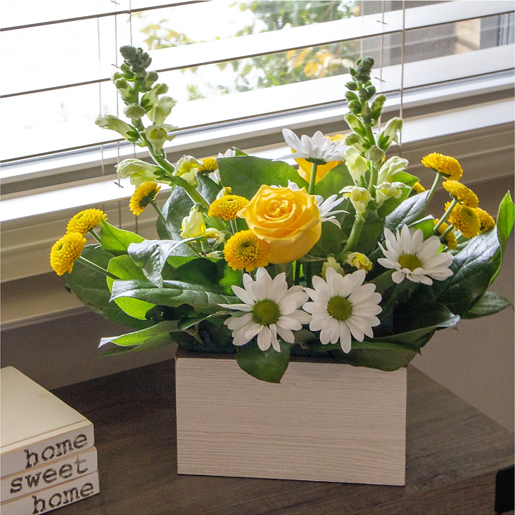 Sun Salutation Box Bouquet –  The Woodlands Flowers, Conroe TX