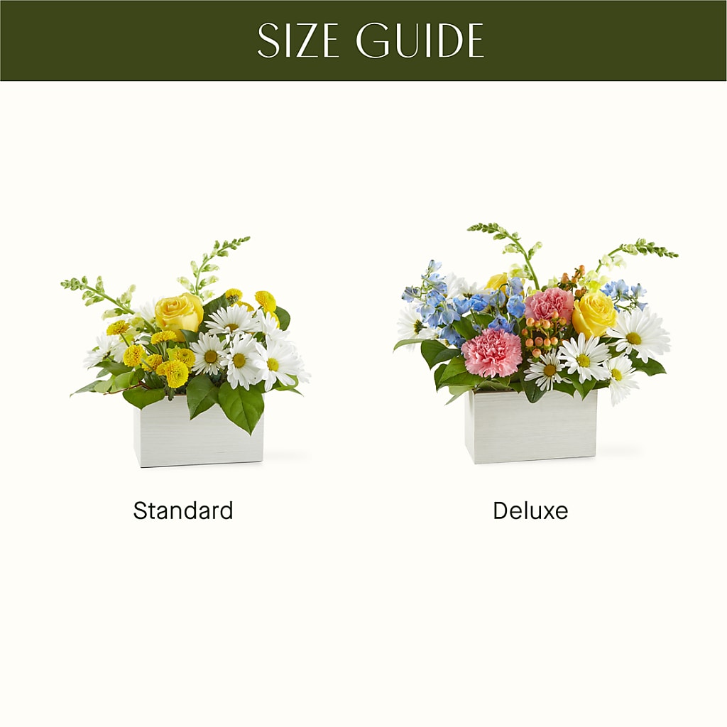 Sun Salutation Box Bouquet –  The Woodlands Flowers, Conroe TX