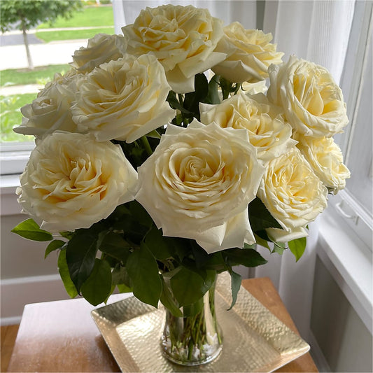Long Stem Yellow Rose Bouquet –  The Woodlands Flowers, Conroe TX