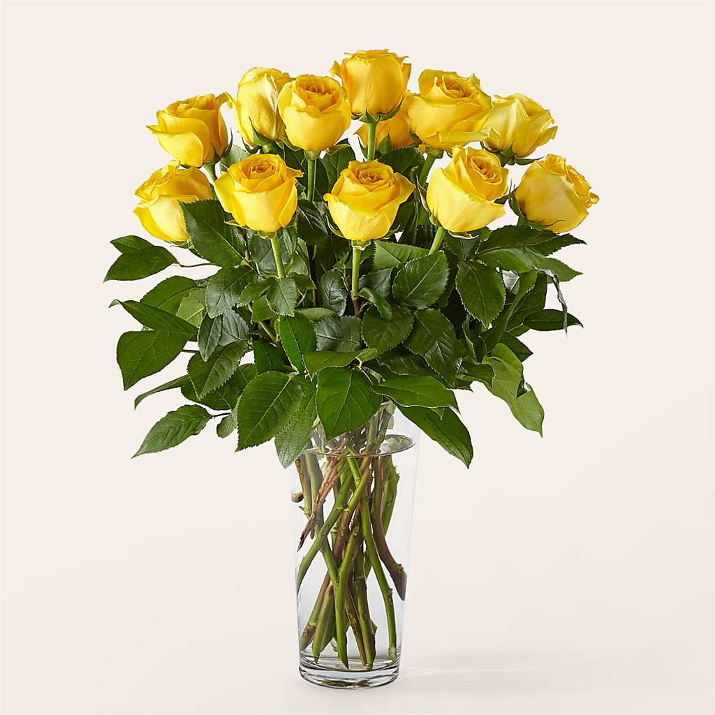 Long Stem Yellow Rose Bouquet –  The Woodlands Flowers, Conroe TX