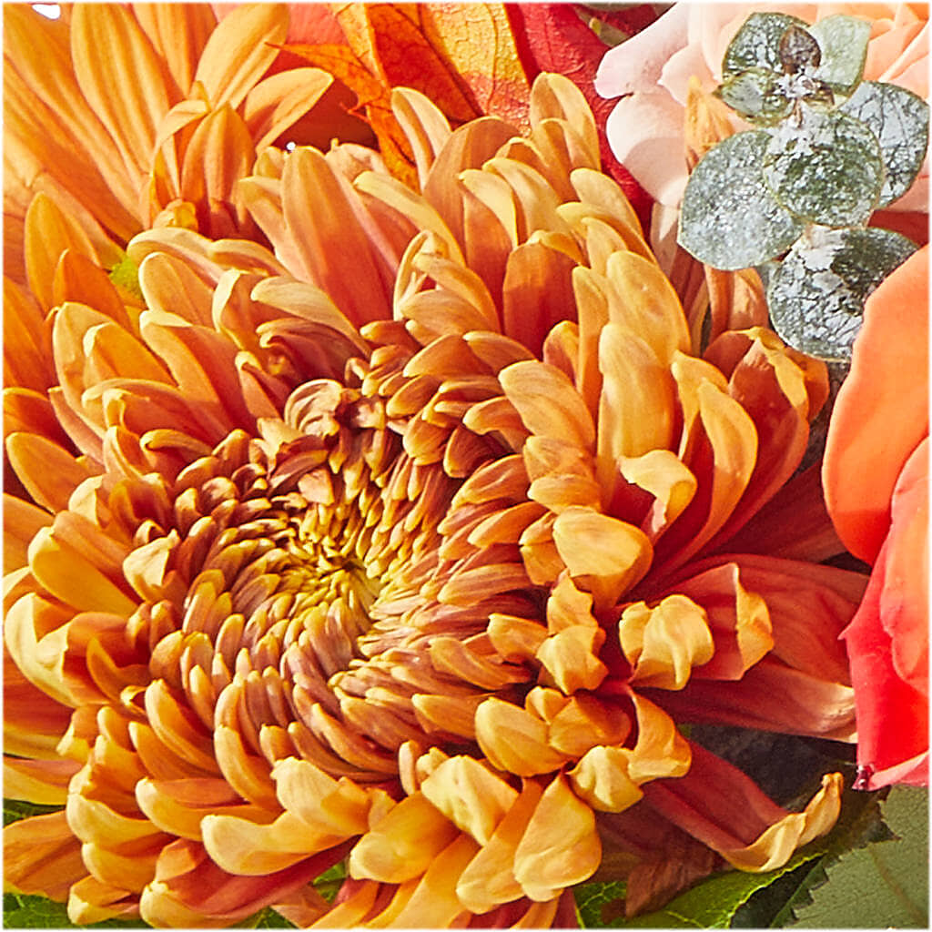 Scenic Route Bouquet –  The Woodlands Flowers, Conroe TX