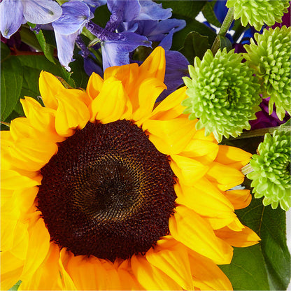 Catching Rays Bouquet –  The Woodlands Flowers, Conroe TX