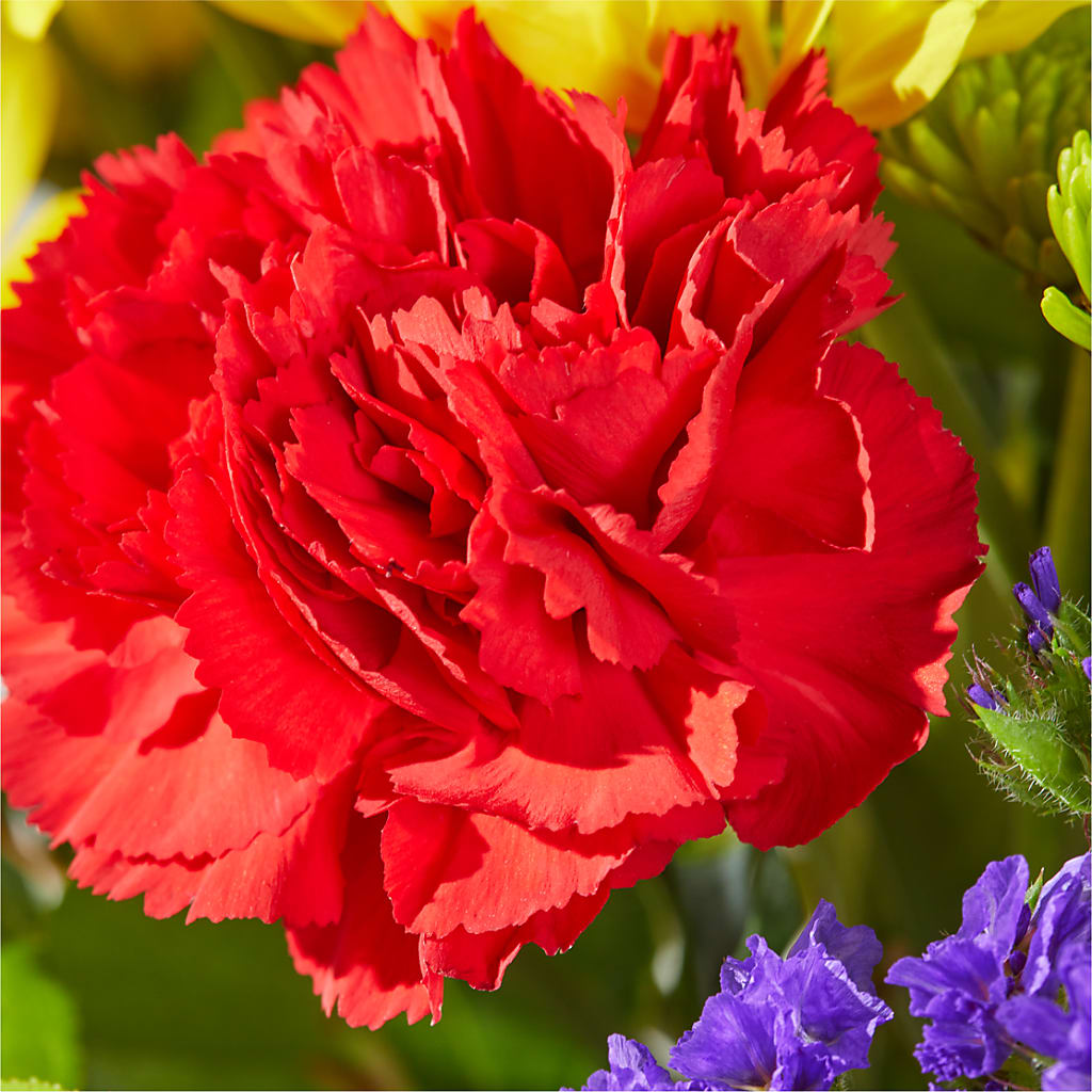 Brighter Days Bouquet –  The Woodlands Flowers, Conroe TX