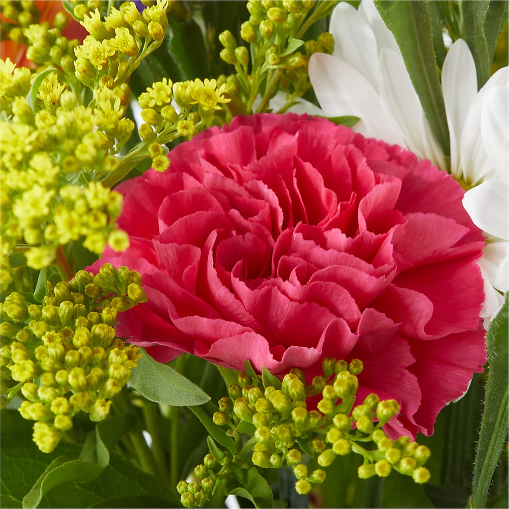 Oopsie Daisy Bouquet –  The Woodlands Flowers, Conroe TX