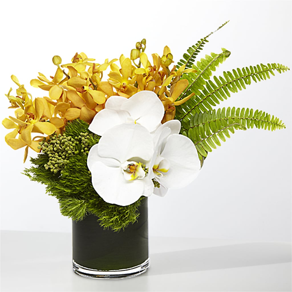 The Tropics –  The Woodlands Flowers, Conroe TX