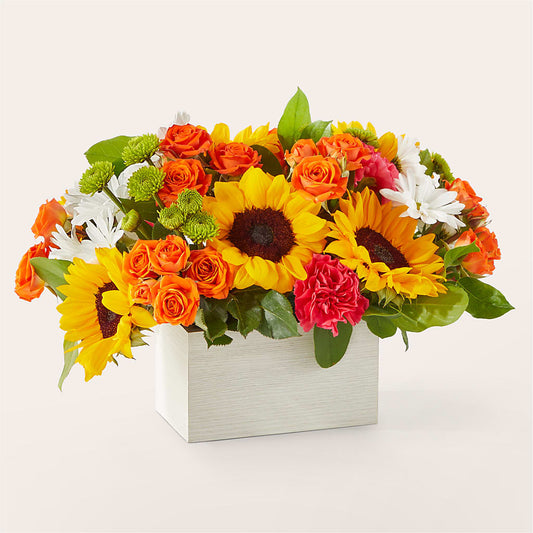 Sun-drenched Blooms Box Bouquet –  The Woodlands Flowers, Conroe TX