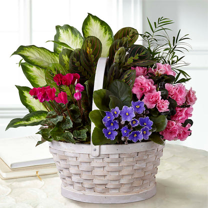 Peaceful Garden Planter –  The Woodlands Flowers, Conroe TX