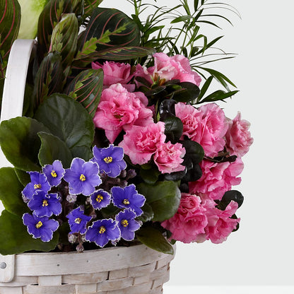 Peaceful Garden Planter –  The Woodlands Flowers, Conroe TX