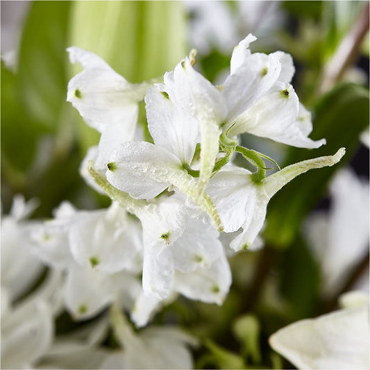 Classic Ivory – A Florist Original –  The Woodlands Flowers, Conroe TX