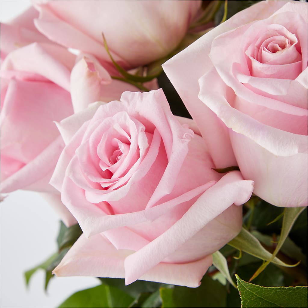 Picture Perfect Pink Rose Bouquet –  The Woodlands Flowers, Conroe TX