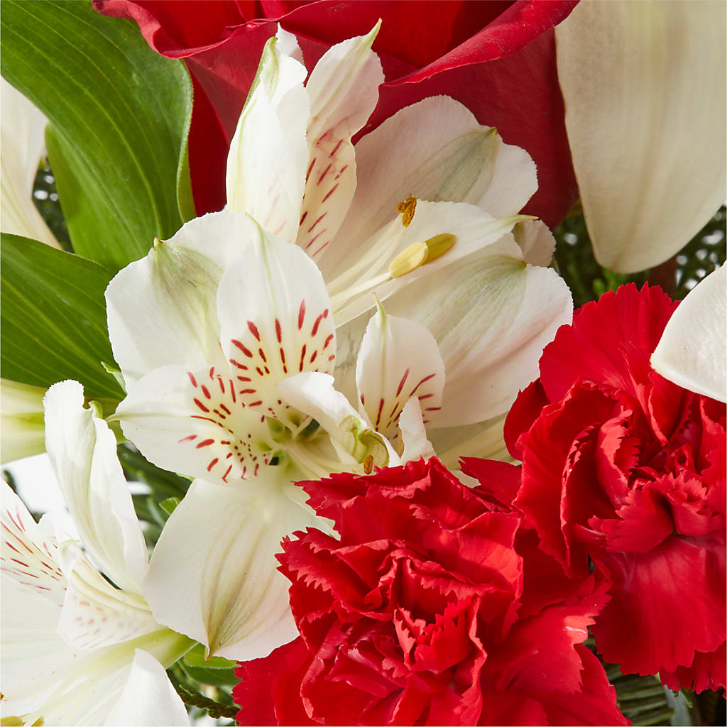 Holiday Season Bouquet –  The Woodlands Flowers, Conroe TX