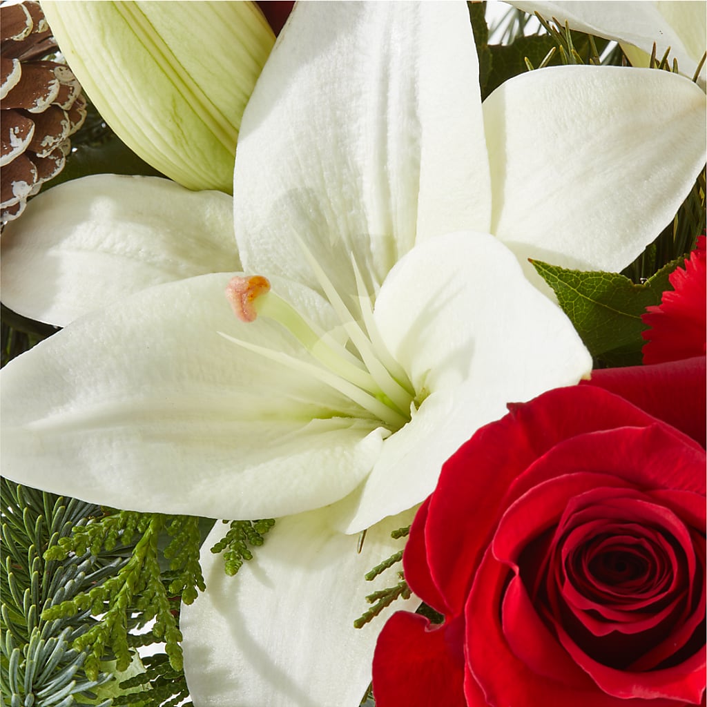 Oh So Jolly Bouquet –  The Woodlands Flowers, Conroe TX