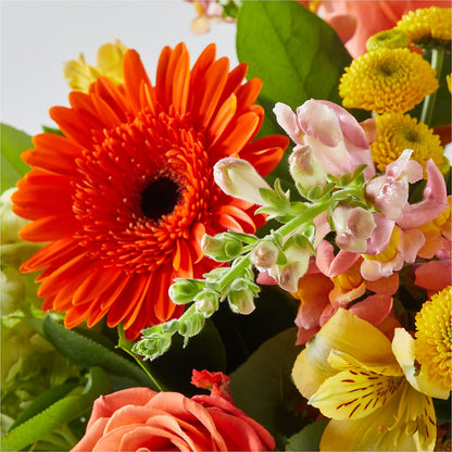 Autumn Sunshine Bouquet –  The Woodlands Flowers, Conroe TX