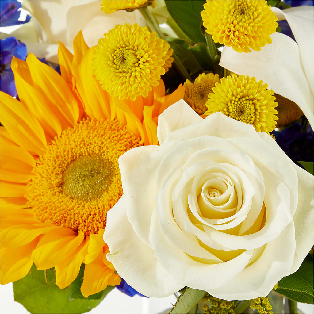 Stargazing Bouquet –  The Woodlands Flowers, Conroe TX