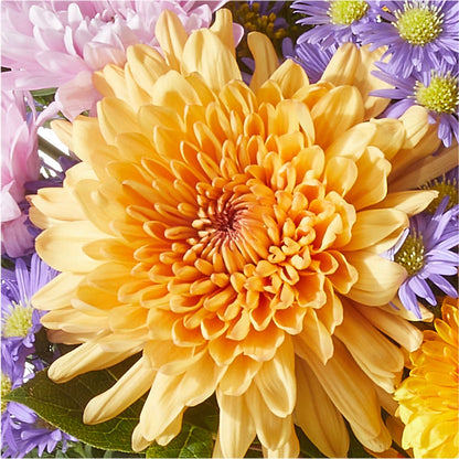 Countryside Bouquet –  The Woodlands Flowers, Conroe TX
