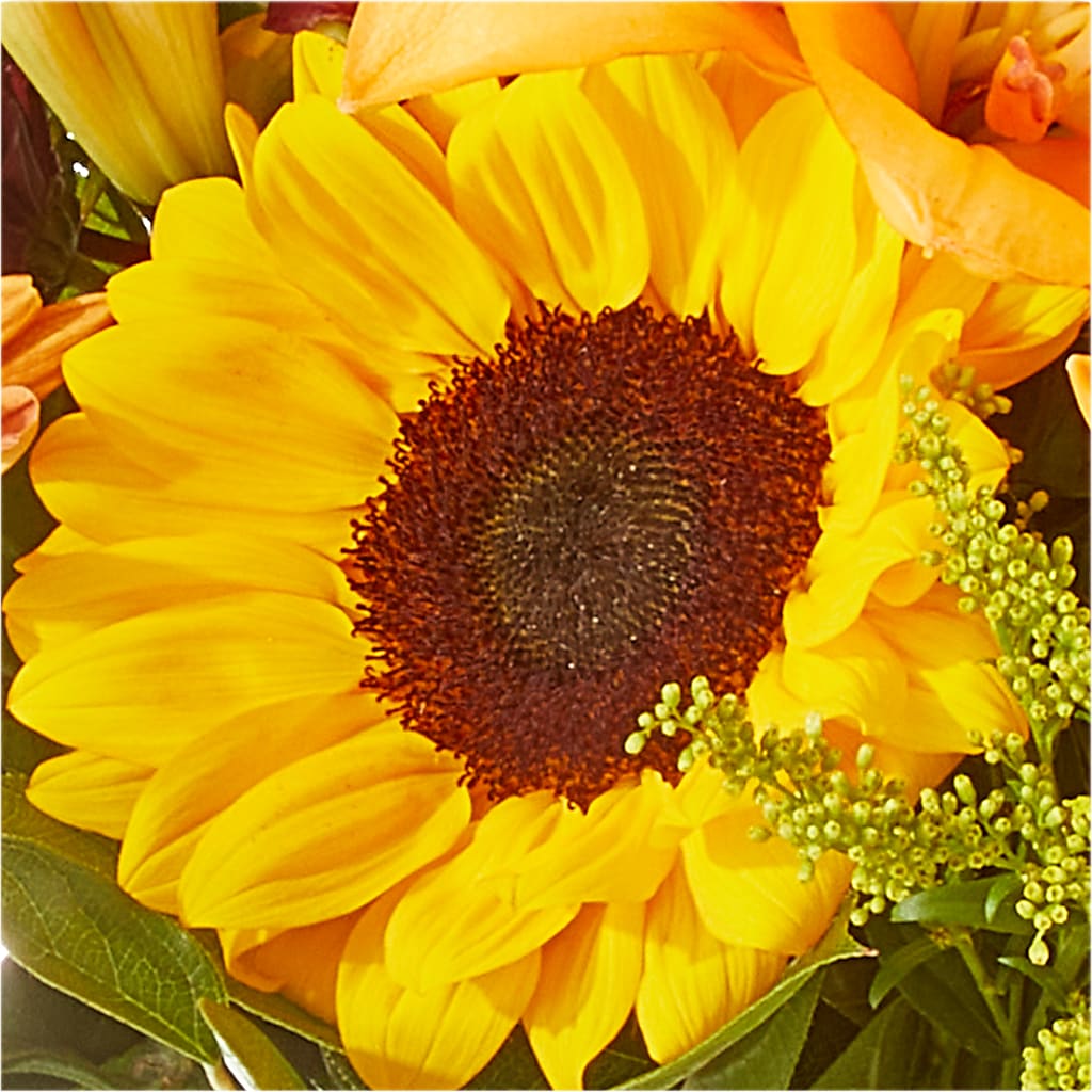 Seasons Change Bouquet –  The Woodlands Flowers, Conroe TX