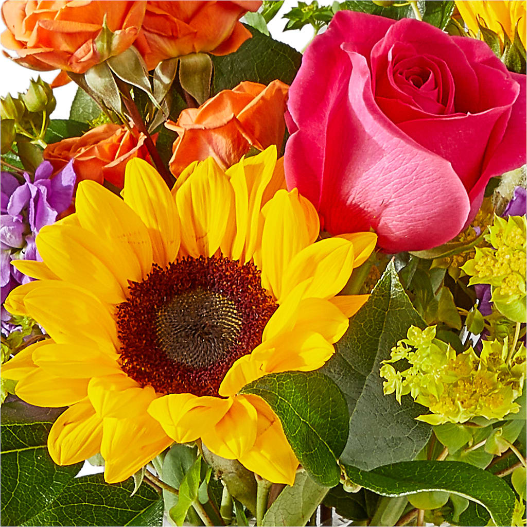 Vibrant Greetings Bouquet –  The Woodlands Flowers, Conroe TX
