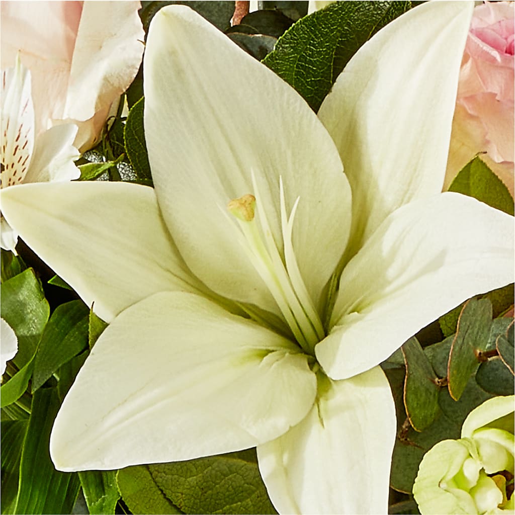 Ballet Slippers Bouquet –  The Woodlands Flowers, Conroe TX