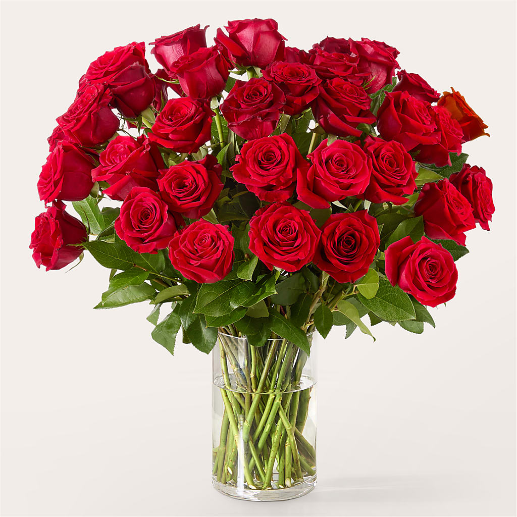 The One Red Rose Bouquet –  The Woodlands Flowers, Conroe TX