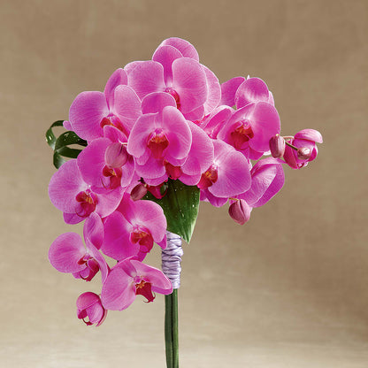 Glorious Bouquet –  The Woodlands Flowers, Conroe TX