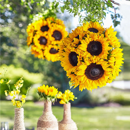 Sublime Garden Hanging Arrangement –  The Woodlands Flowers, Conroe TX