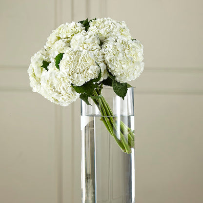 White Hydrangea Hand-Tied Bouquet –  The Woodlands Flowers, Conroe TX