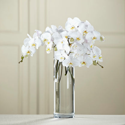 White Phalaenopsis Bouquet –  The Woodlands Flowers, Conroe TX